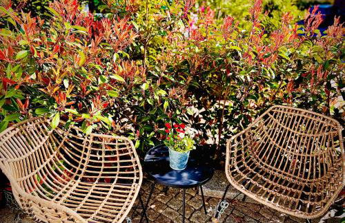 Schöne Aussichten mitten in Berlin - il sole - Photo 3