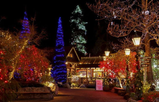 Vancouver or Victoria Christmas Tour - Photo 1