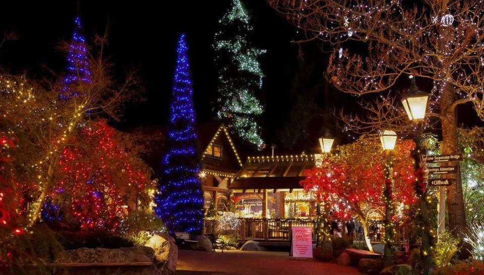 Tour navideño por Vancouver - Foto 1