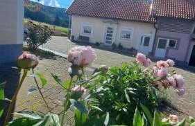 Apartman Kristina - Photo 1