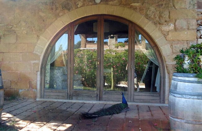 Masseria Provenzani - Foto 56