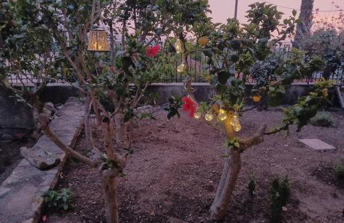 Melody cottage, Samos - Foto 69