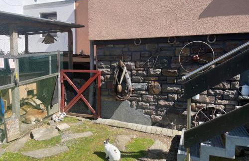 Eifelbrise - Foto 18