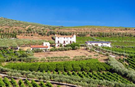 Tenute Piazza Countryhouse - Foto 32