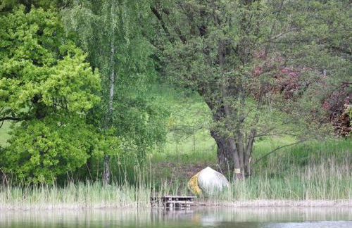 Reihenhaus Rotkehlchen in Lohmen - Foto 63
