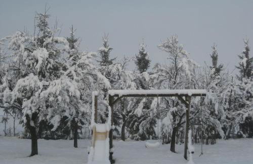 No.5 - Ferienwohnung Schkade - Foto 30