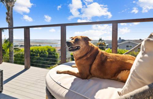 Stunning Bay Views with Pickleball and Hot Tub - Foto 13