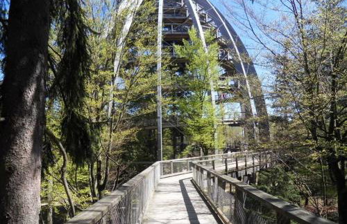 Ferienland Sonnenwald Fewo 46 - Foto 9