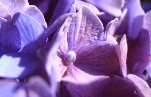 Maison de charme avec piscine - Foto 32