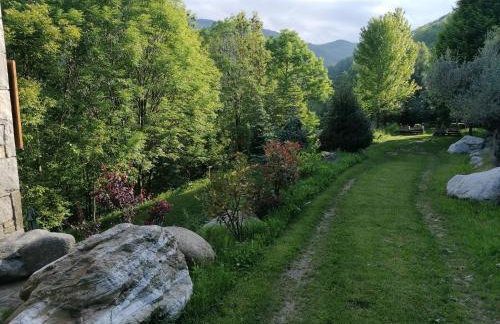 Els Pins d'Abella - Foto 31