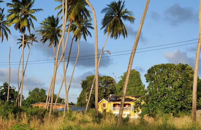 Visita guidata di Speightstown - Foto 4