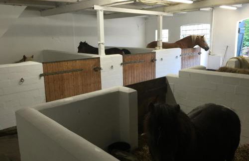 Ferienhof Utech - Foto 19