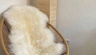 Großzügige Altstadt-Ferienwohnung "Willi" - Foto 5