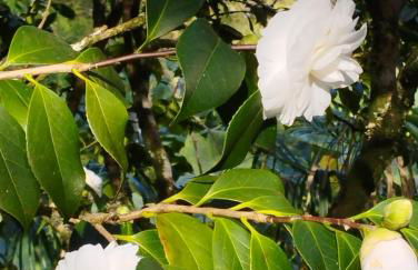 Um quarto da Casa Do Monte - Photo 24