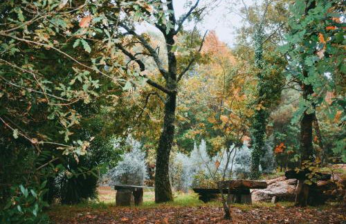 Quinta das Fontes - Alojamento Rústico Local e Turismo Rural - Foto 32