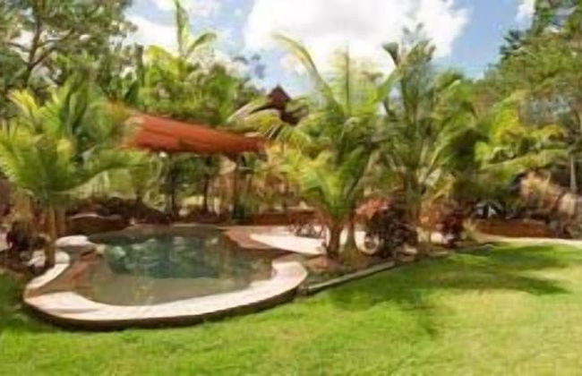 Rainforest Ranch - Photo 9