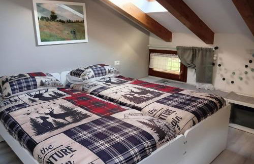 Attico delle Dolomiti - Foto 14