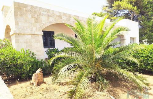 Villa di Nesco Puglia On line - Foto 6