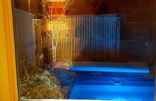 Ferienhaus Berge und See mit Whirlpool und Sauna - Foto 11