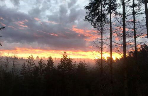 Luxurious Tent Vacation Rental on Glamping Site near Salem, Oregon - Foto 7