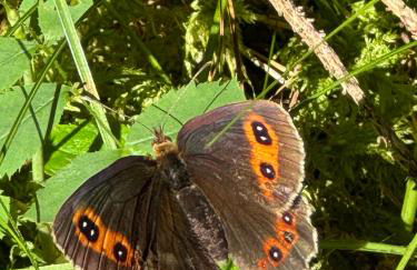 Sogno delle Dolomiti - Photo 32