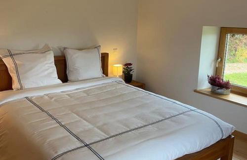 Les Hauts de la Piquante Pierre - Foto 19