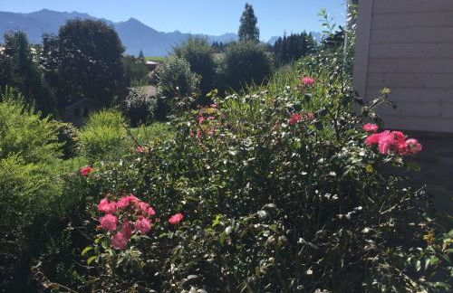 Apartment Fewo Bergblick lodge by Interhome - Photo 25