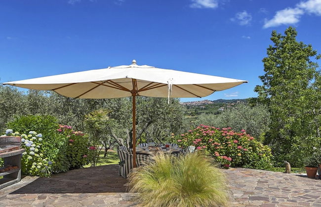 Rm-c767-gmat0at - Lanuvium 10 - Photo 6