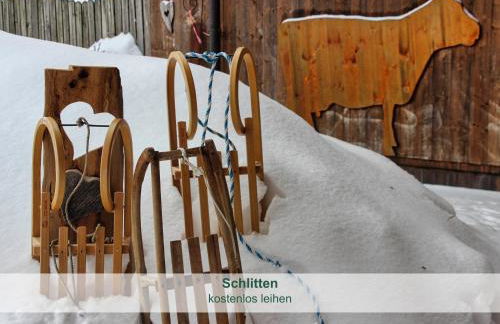 Chalet - Ferienwohnungen - Biohof Stöger - Panoramasüdbalkon - grandiose Aussicht auf See, Berge und Schloss Neuschwanstein - Foto 31