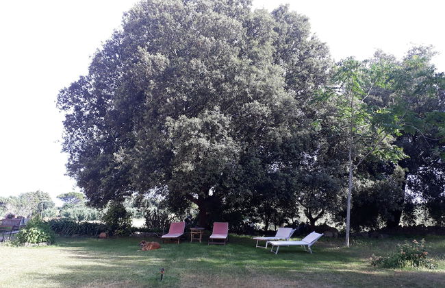 Tenuta Argiano - Foto 31