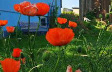 Ferienhaus VILLA ZAUBERBLICK am Rennsteig Frankenwald FREISTEHEND naturnah HUNDEFREUNDLICH eingezäunt - Foto 55