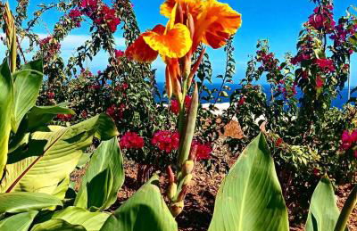 Dammuso Pantelleria - Fiori D'Ossidiana - Foto 69