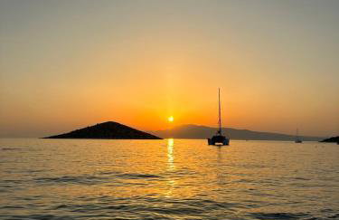 Plaza House - Foto 24