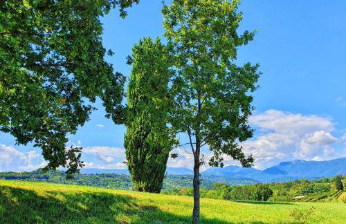 Tenuta Mani Sagge - Foto 28