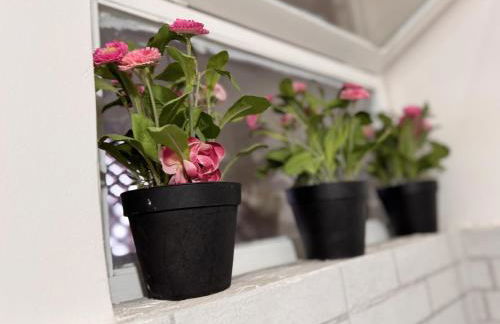 Galleria del Corso - Foto 16