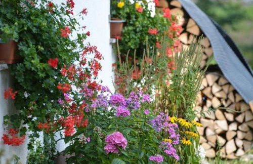 Ferienwohnung Bergfranzenhof - Foto 5