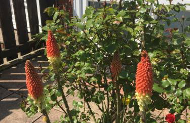 Rose Cottage, Newbiggin-by-the-Sea - Foto 26