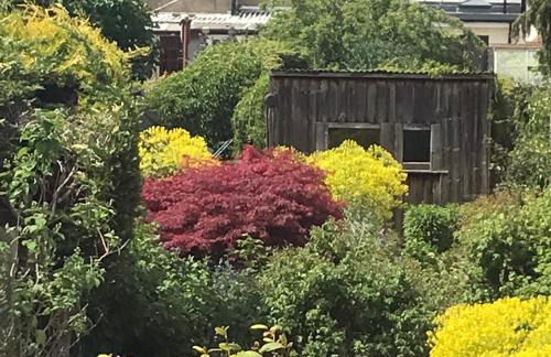 Terraced Garden House Three Bedrooms - Foto 15