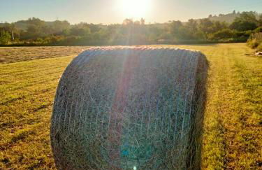 Anticopodere - Foto 18