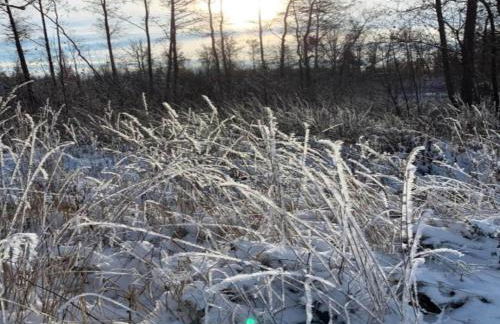 Quiet Comfort in Oelsnitz - Foto 36