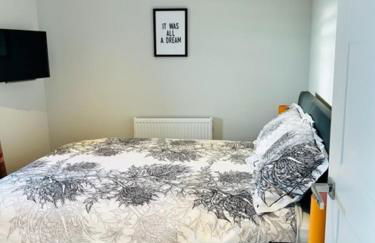 Star Scape - Foto 16