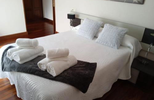 Pedroenea Apartamento Elizondo - Foto 12