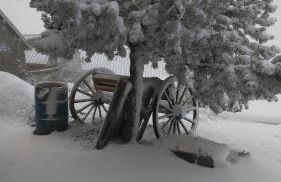 Les quatre marmottes - Photo 24