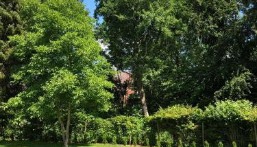 Ferienhaus Bäk-Ratzeburg - Foto 2