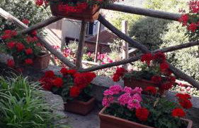 Il giardino del borgo - Foto 7