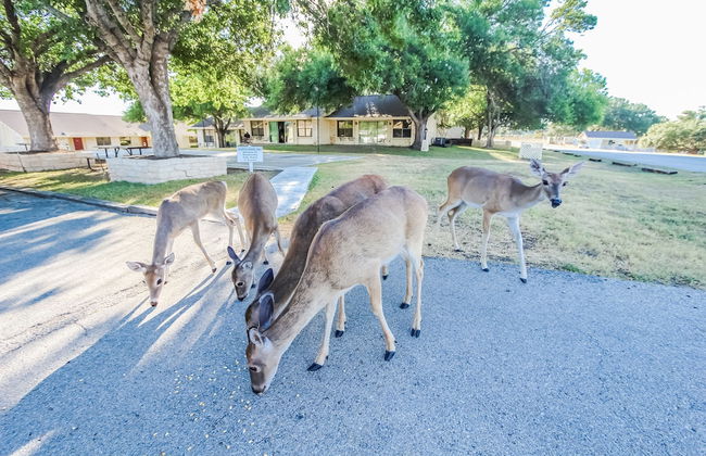The Shores at Lake Travis - Foto 19