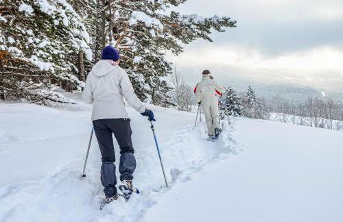 Goélia Les Chalets de Belledonne - Foto 11