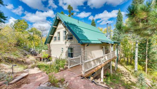 Secluded Log Cabin with Game Room and Forest Views - Foto 4