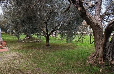 Appartamento Farfollie - Foto 8