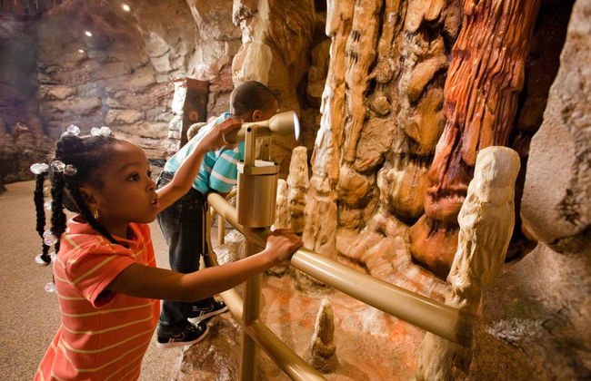 Atlanta CityPASS® - Foto 6